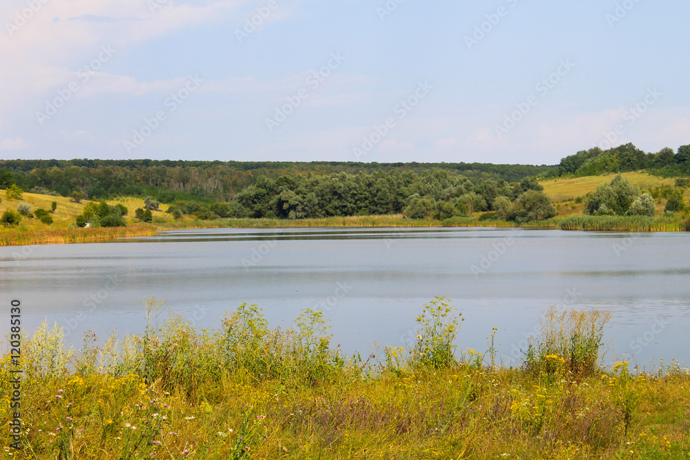 Beautiful lake on summer