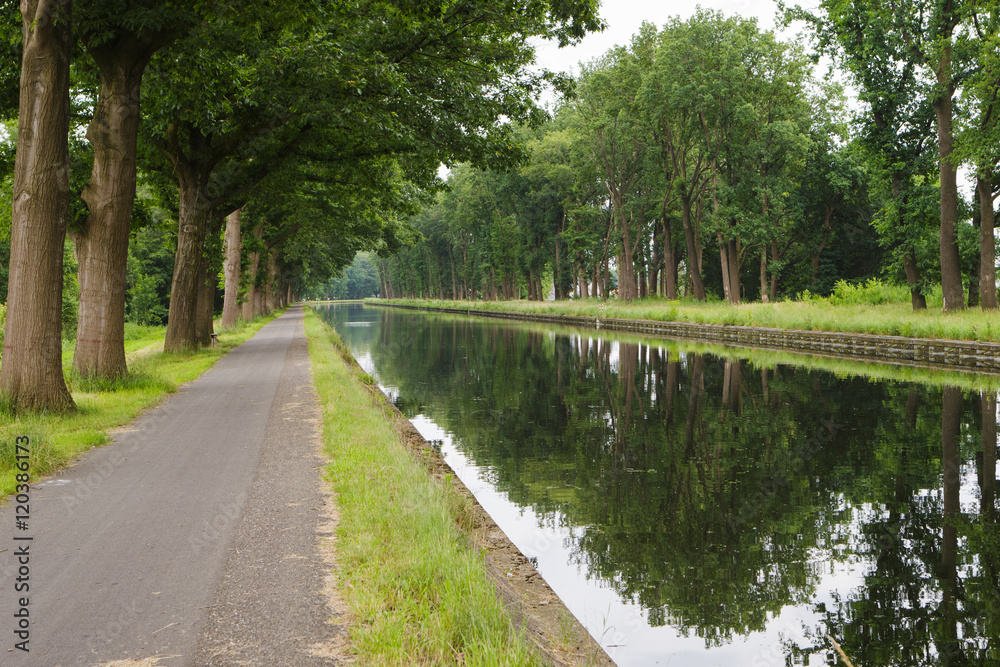 canal border with trees at both sides