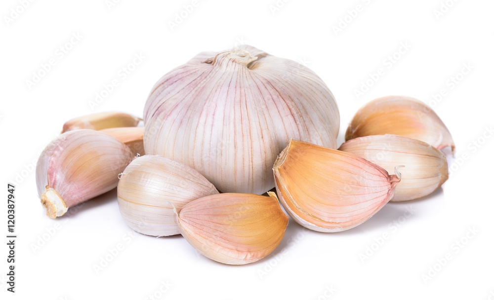 Garlic isolated on the white background Garlic isolated on the white background