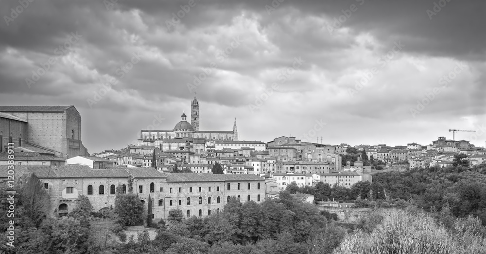 Siena, panoramic view. Black and white photo