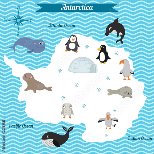 Cartoon map of Antarctica continent with different animals.