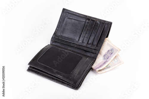 Old wallet and money