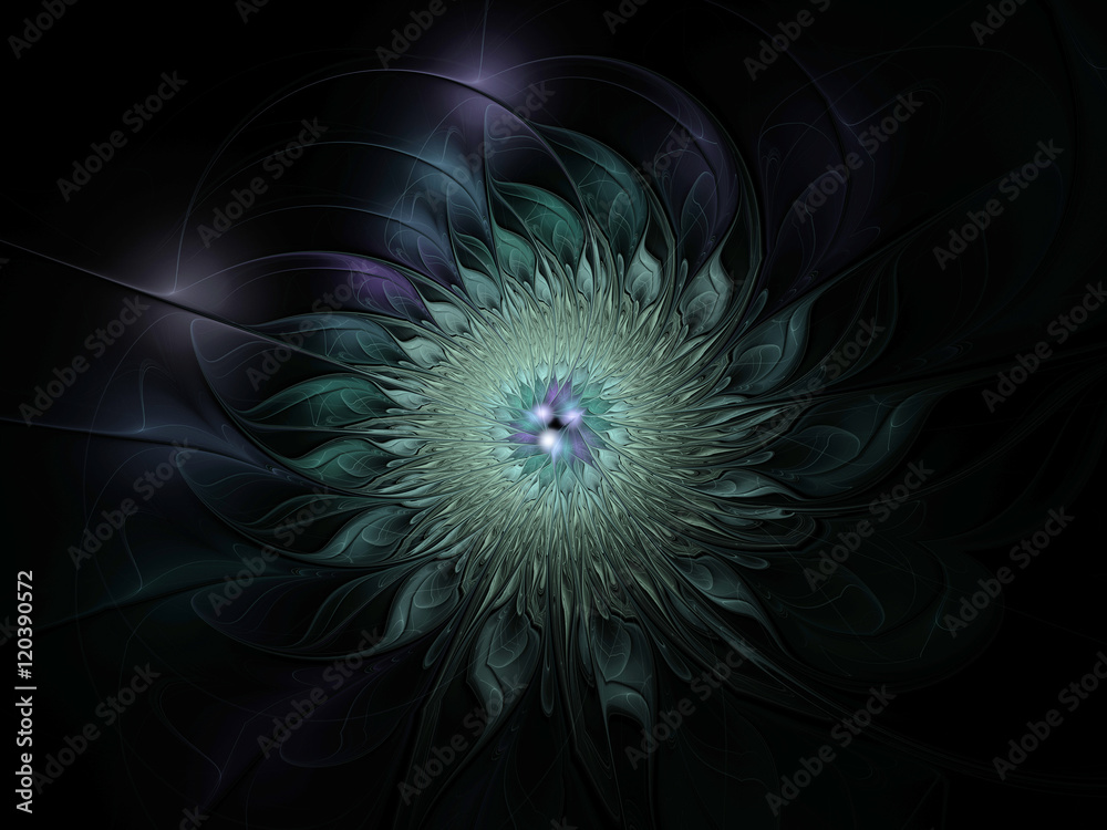 Abstract blue and purple beautiful flower Abstract blue and purple beautiful flower