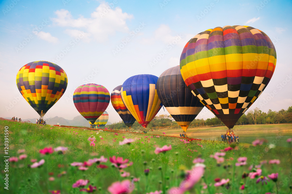 Obraz premium Hot air balloons