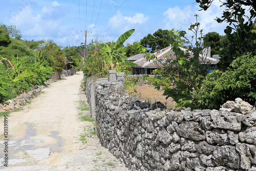 A Path at Taketomi Island photo