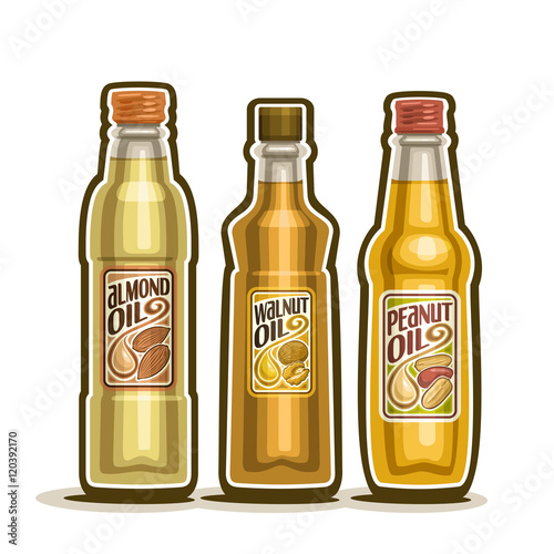 Vector logo 3 glass Bottle with pure Almond Oil, bottles virgin cooking Walnut oil, container natural organic peanut oils and goober nut oily liquid with cap and label, closeup isolated on white.