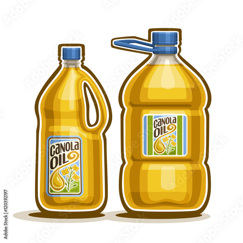 Vector logo 2 big yellow plastic Bottle with Canola Oil and label, gallon canister filled pure cooking colza oil, large container with rapeseed liquid with cap and handle, closeup isolated on white.