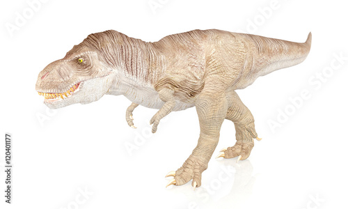 Tyrannosaurus Rex  Dinosaur isolated on white background