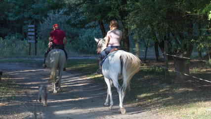 Sierkussen Paardrijden Paardrijden langs landelijke weg  © ecwo