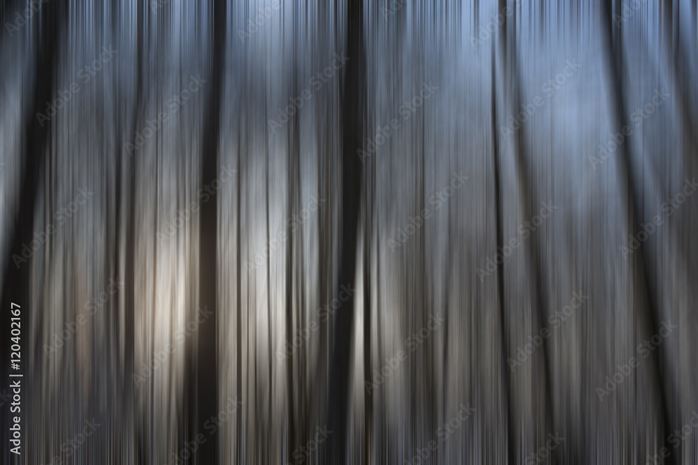 Fototapeta premium A wintry forest with a motion blur effect.