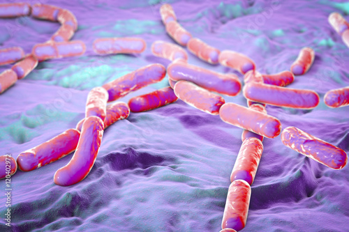 Bacillus cereus, gram-positive spore-producing bacteria arranged in chains which cause food poisoning. 3D illustration photo