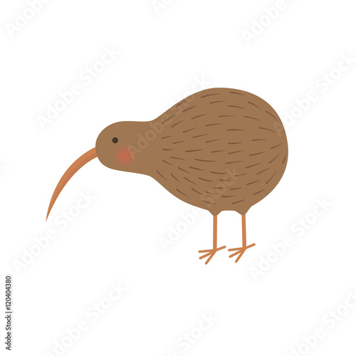 bird kiwi illustration for the children