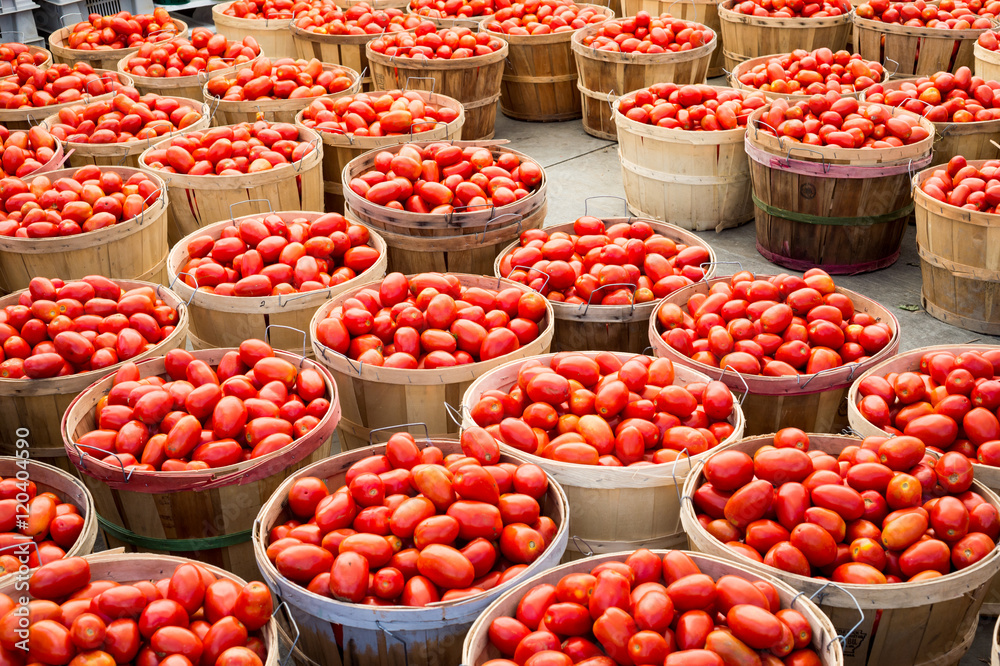 Many Roma tomatoes in baskets at the market Many Roma tomatoes in baskets at the market