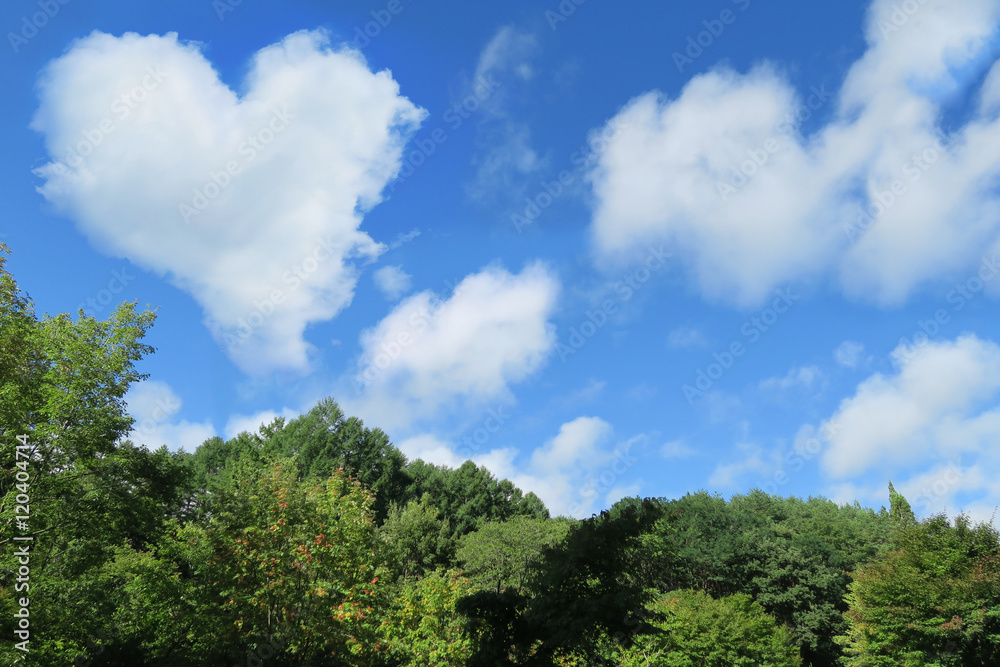 heart cloud blue sky wood