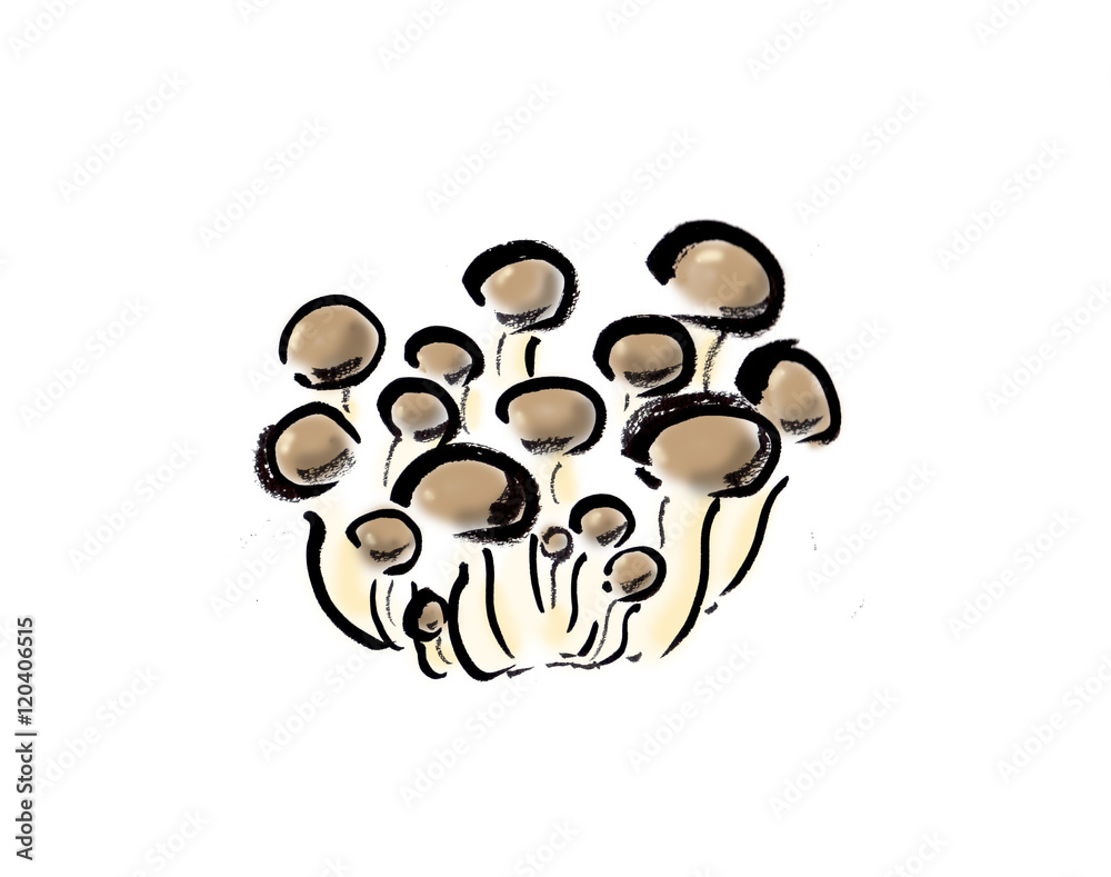 Obraz premium しめじ