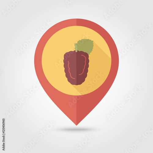 Blackberry bramble flat pin map icon. Berry fruit