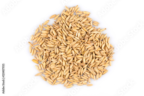 pile of organic oat grains