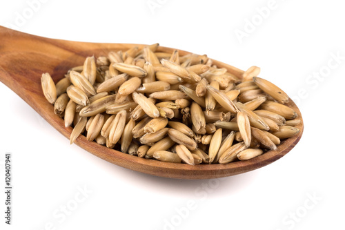 organic oat grains