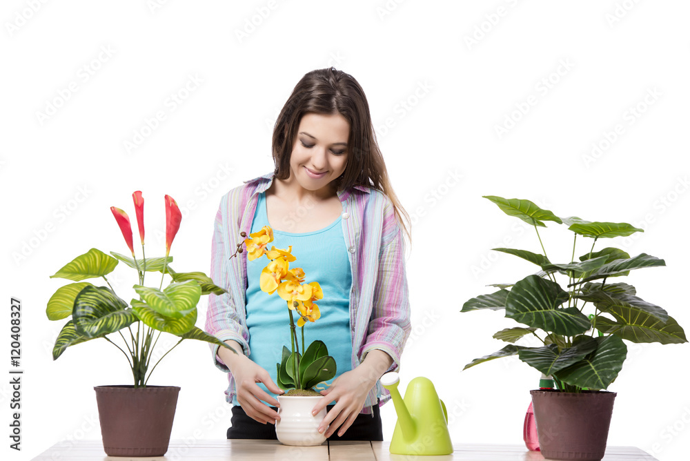 Woman taking care of plant isolated on white Woman taking care of plant isolated on white