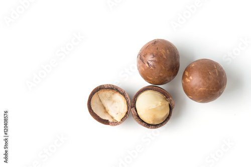 macadamia nuts