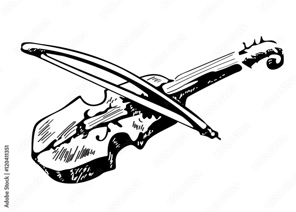 Fototapeta Violin sketch isolated on white background, hand drawn illustration