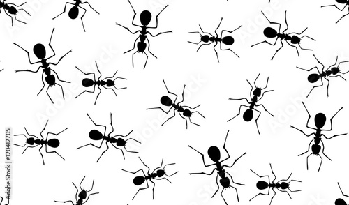 Vector seamless pattern of ants. © newrossosh