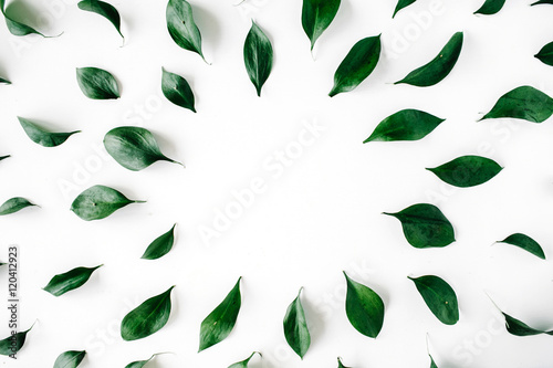 green leaves frame on white background. flat lay. © Floral Deco