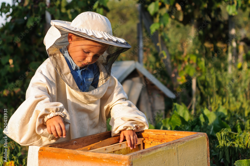little boy beekeeper works on an apiary at hive little boy beekeeper works on an apiary at hive