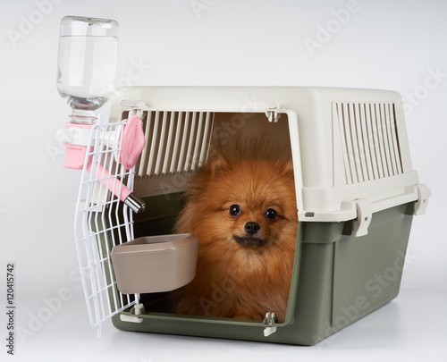 Pet carrier with dog inside