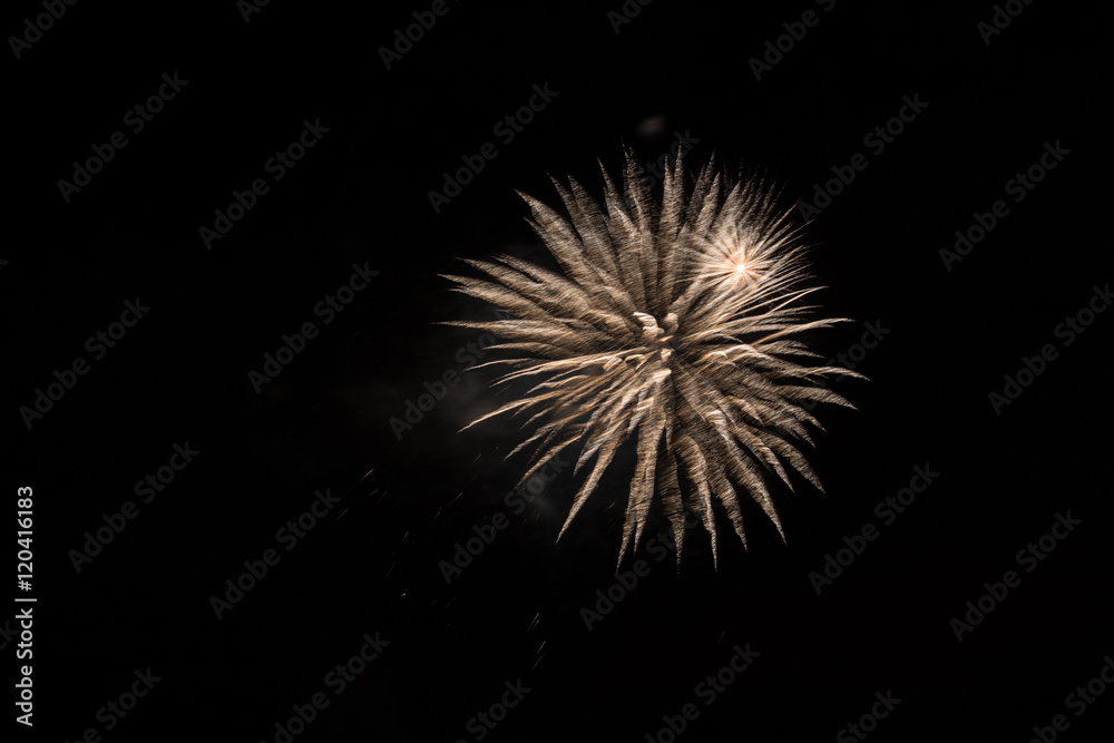 Beautiful night view and bright fireworks in sky Beautiful night view and bright fireworks in sky