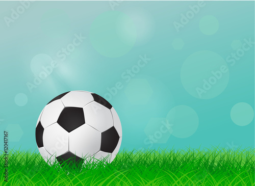 Soccer ball on field isolated © chekky