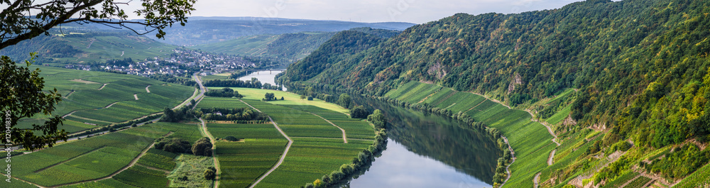 Mosel,Neumagen-Dhron Mosel,Neumagen-Dhron