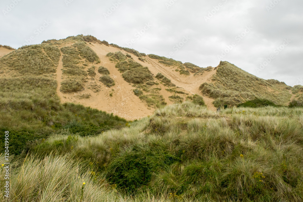Dune di Sabbia Dune di Sabbia
