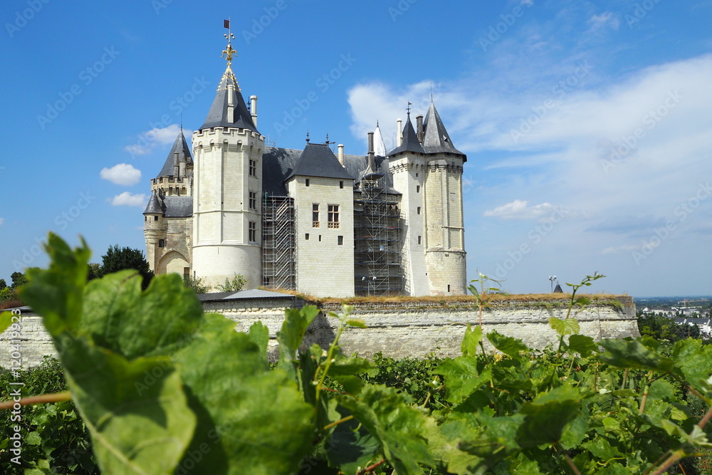 Chateau de Saumur