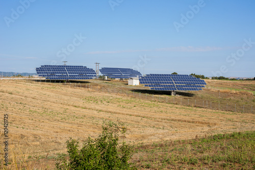 Blue solar panels in field facing the sun