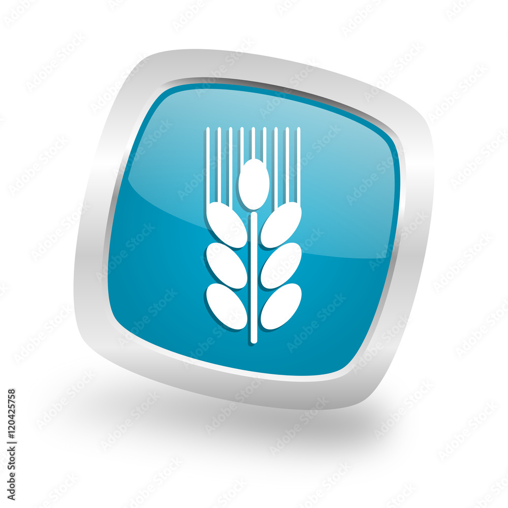 grain square blue glossy chrome silver metallic web icon grain square blue glossy chrome silver metallic web icon