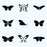 butterfly set symbol