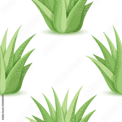 Agave - seamless pattern with desert plants. Nature floral background with green succulent leaf. Wallpaper with plantation of aloe. Vector illustration