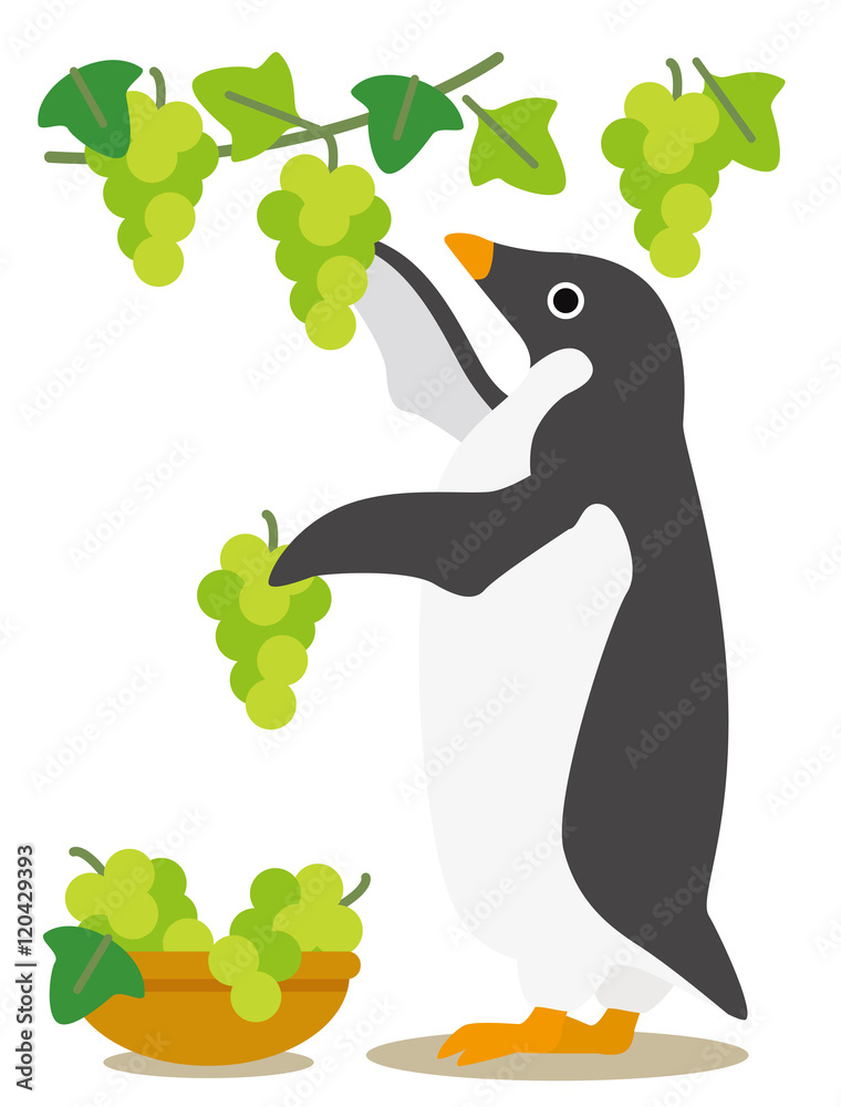 Obraz premium アデリーペンギンな日々 秋の収穫ぶどう狩り