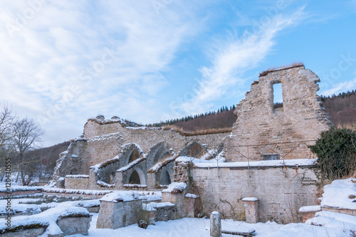 Alvastra Monastery ruins in winter photo