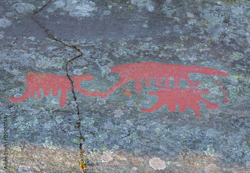 Petroglyphs photo