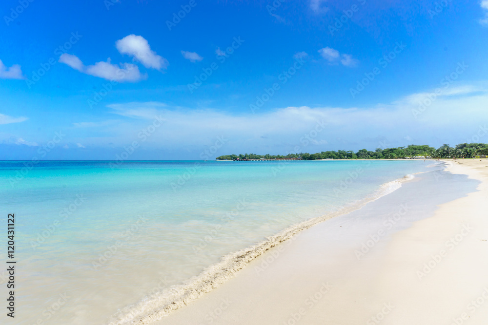 caribbean beach sea view on sunny day