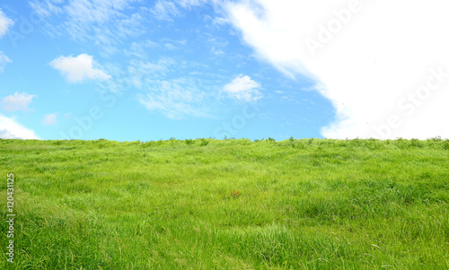 Green field and blue sky with light clouds  soft focus