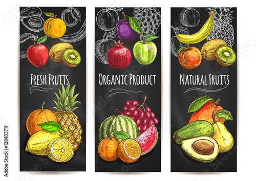 Fresh natural fruits products sketch posters