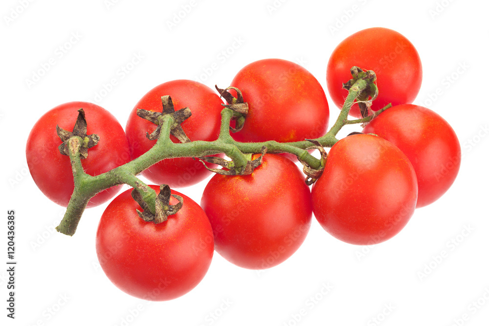 Cherry tomato bunch