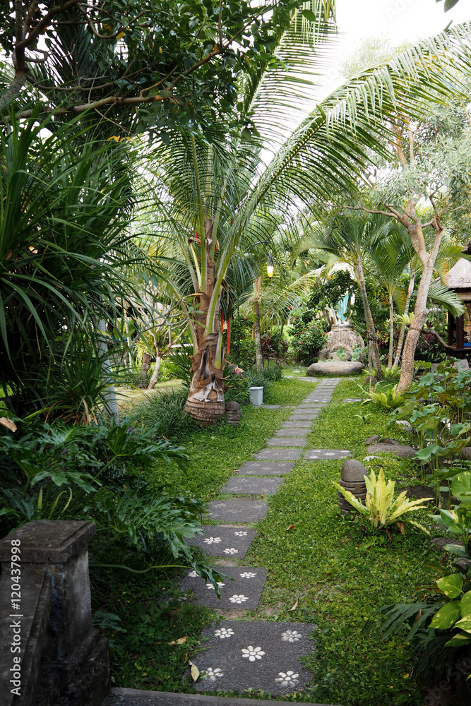Walkway in garden