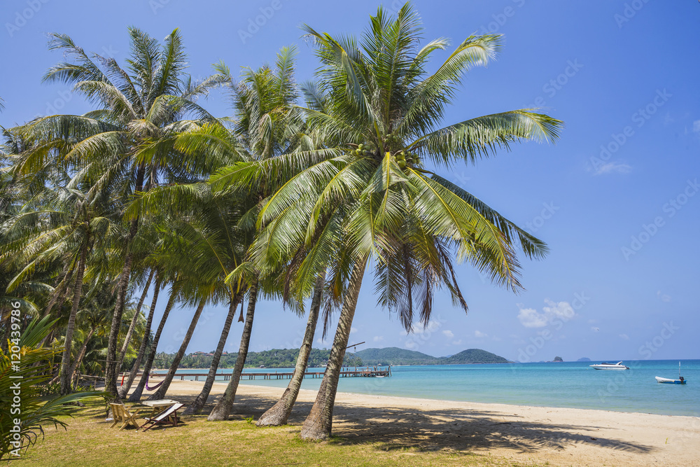 Beautiful tropical beach at island Koh Chang Beautiful tropical beach at island Koh Chang