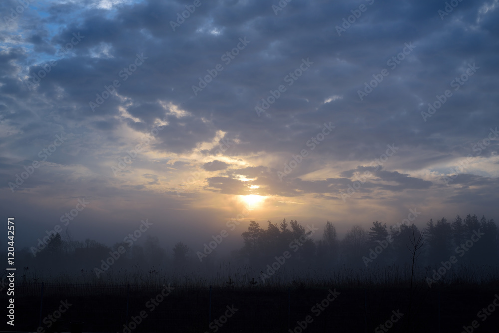 Foggy landscape of lithuanian meadows on summer morning