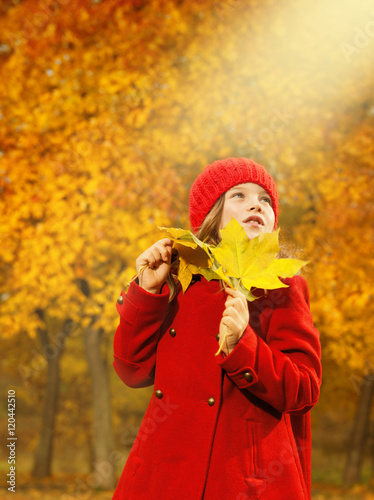 little girl outdoors  with autumn leaves