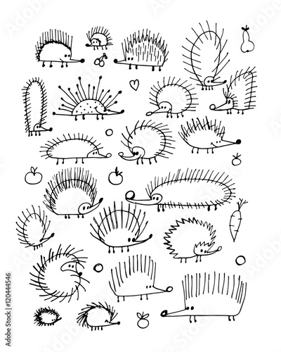 Funny hedgehog collection, sketch for your design